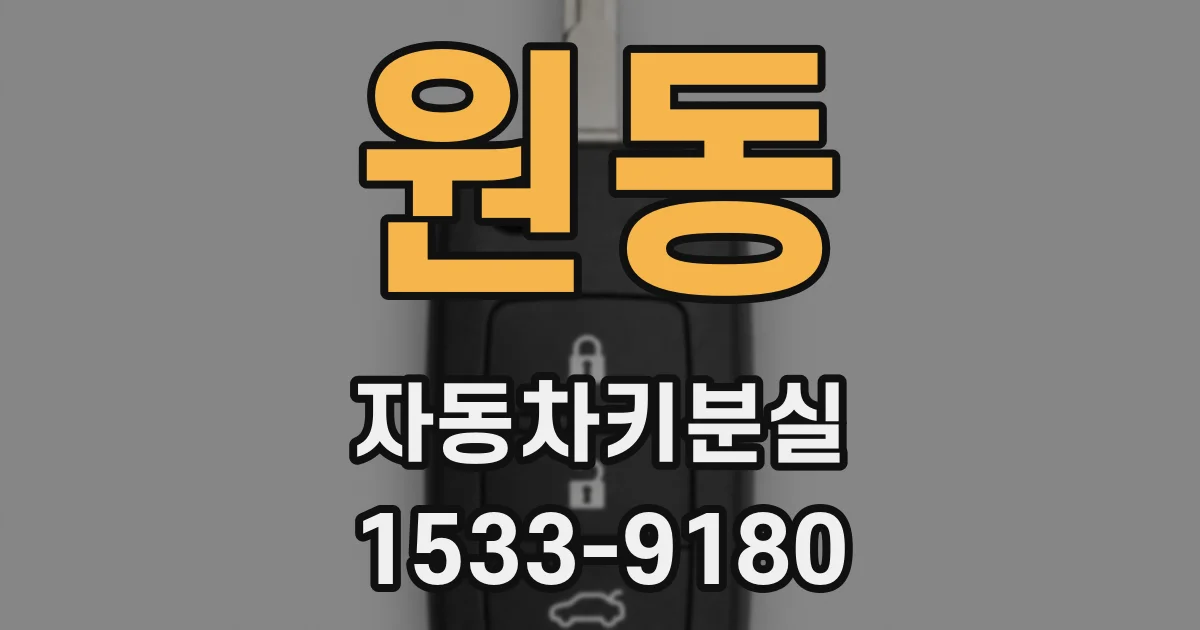 원동 자동차키분실
