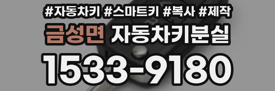 금성면 자동차키분실