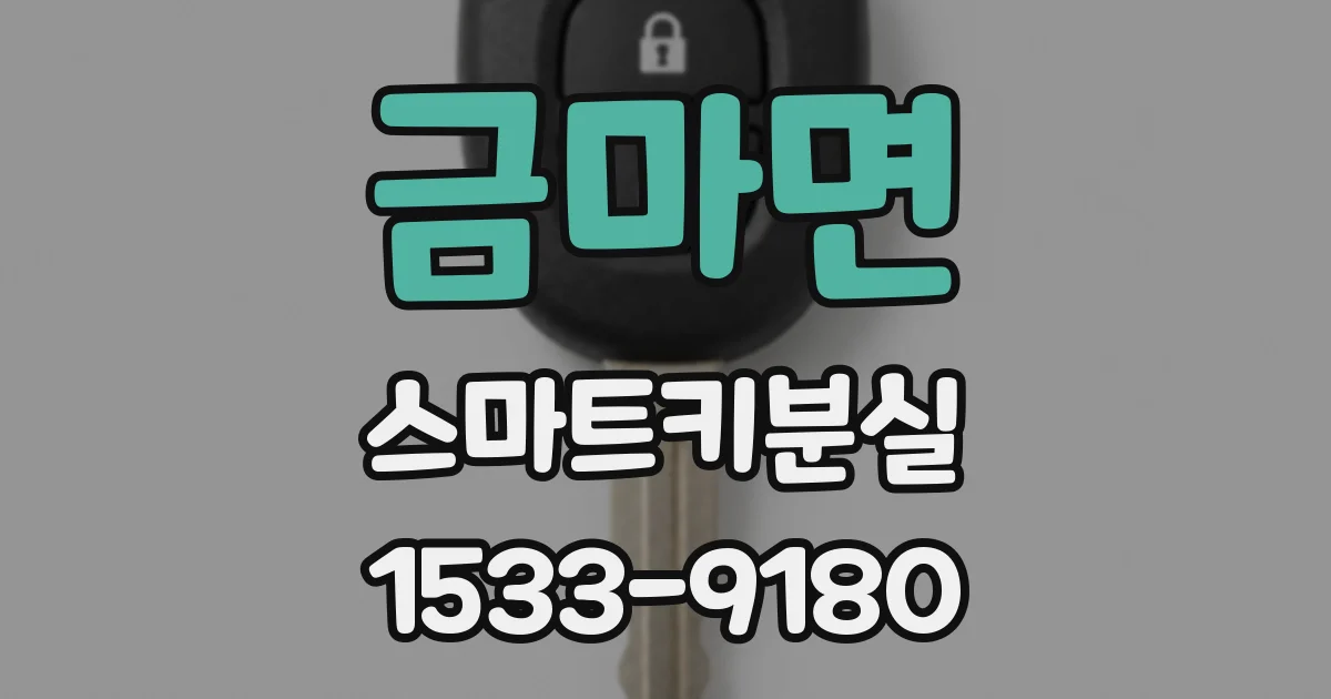 금마면 스마트키분실