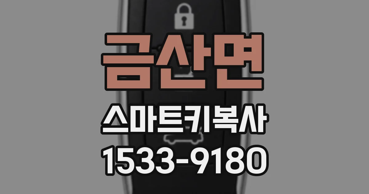 금산면 스마트키복사