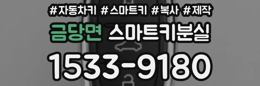 금당면 스마트키분실