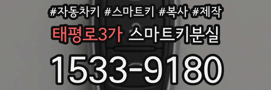 태평로3가 스마트키분실