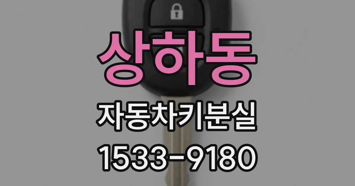 상하동 자동차키분실