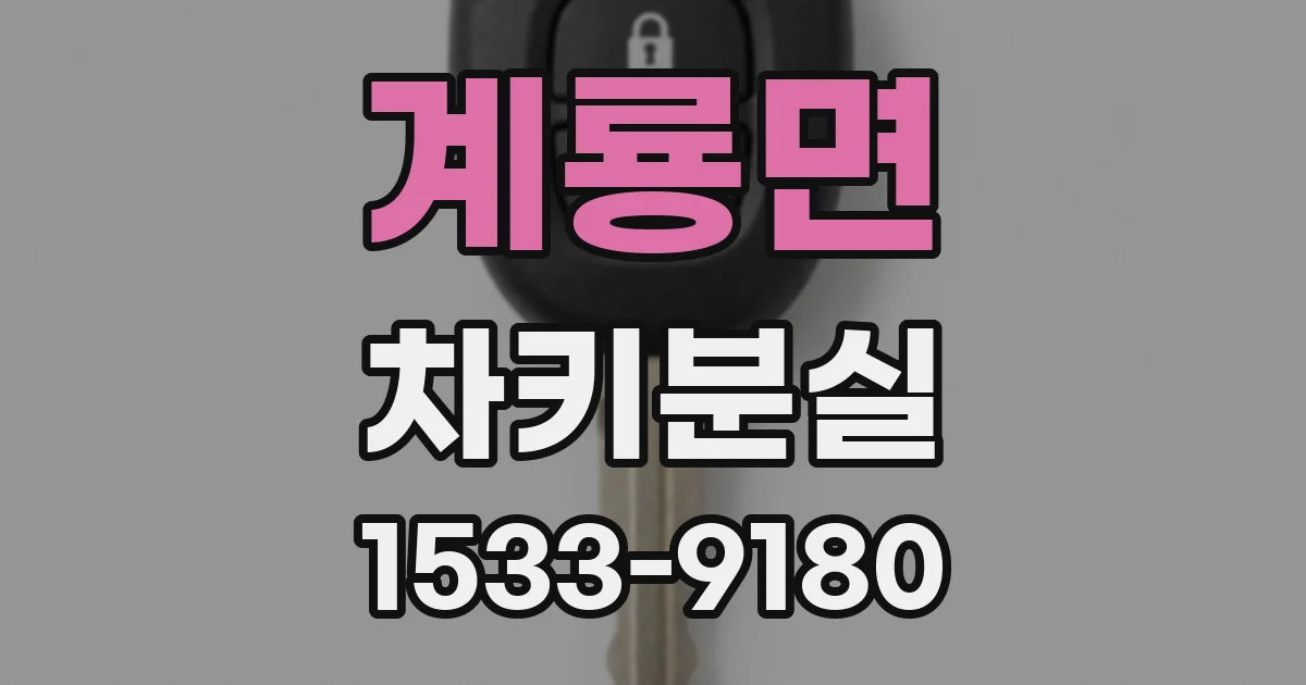 계룡면 차키분실