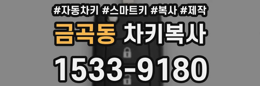 금곡동 차키복사