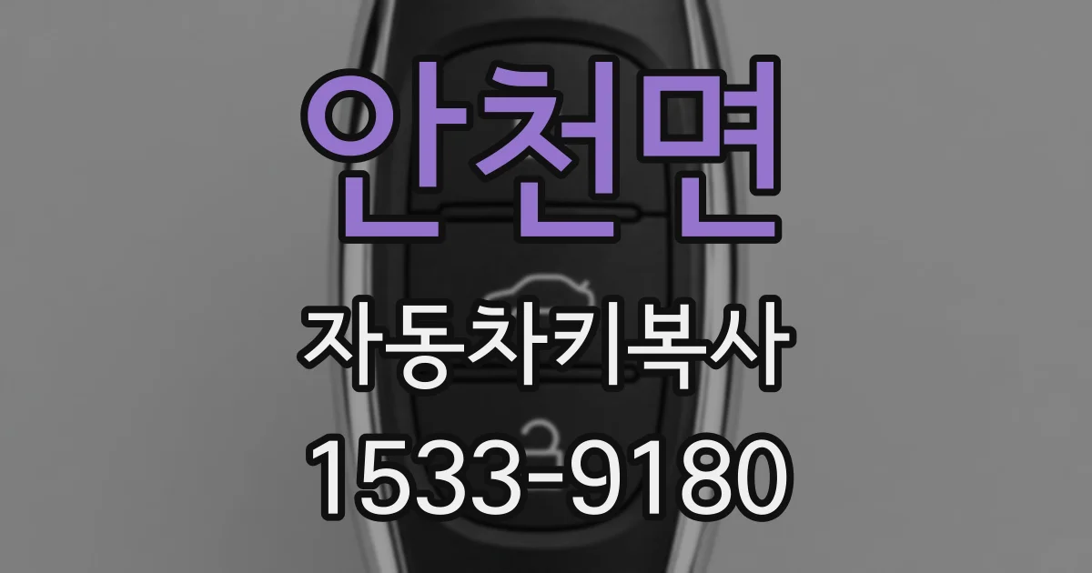 안천면 자동차키복사