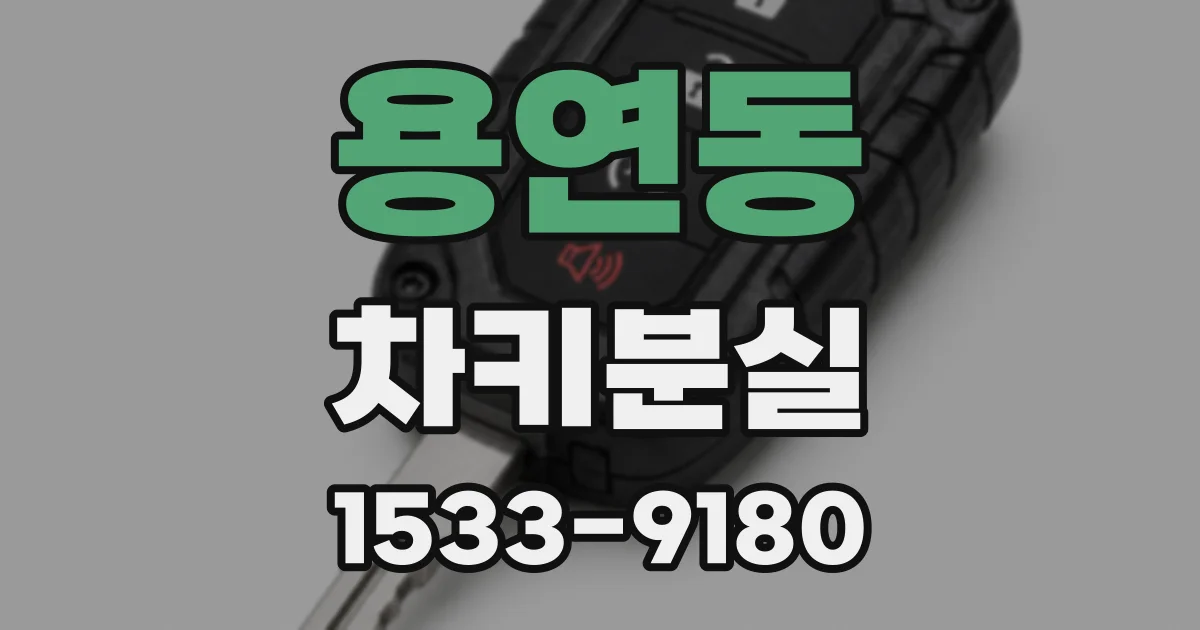 용연동 차키분실