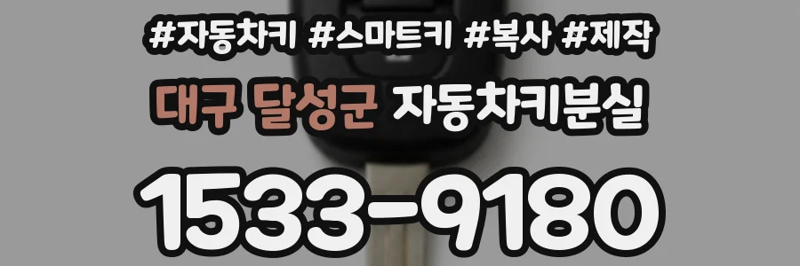 대구 달성군 자동차키분실