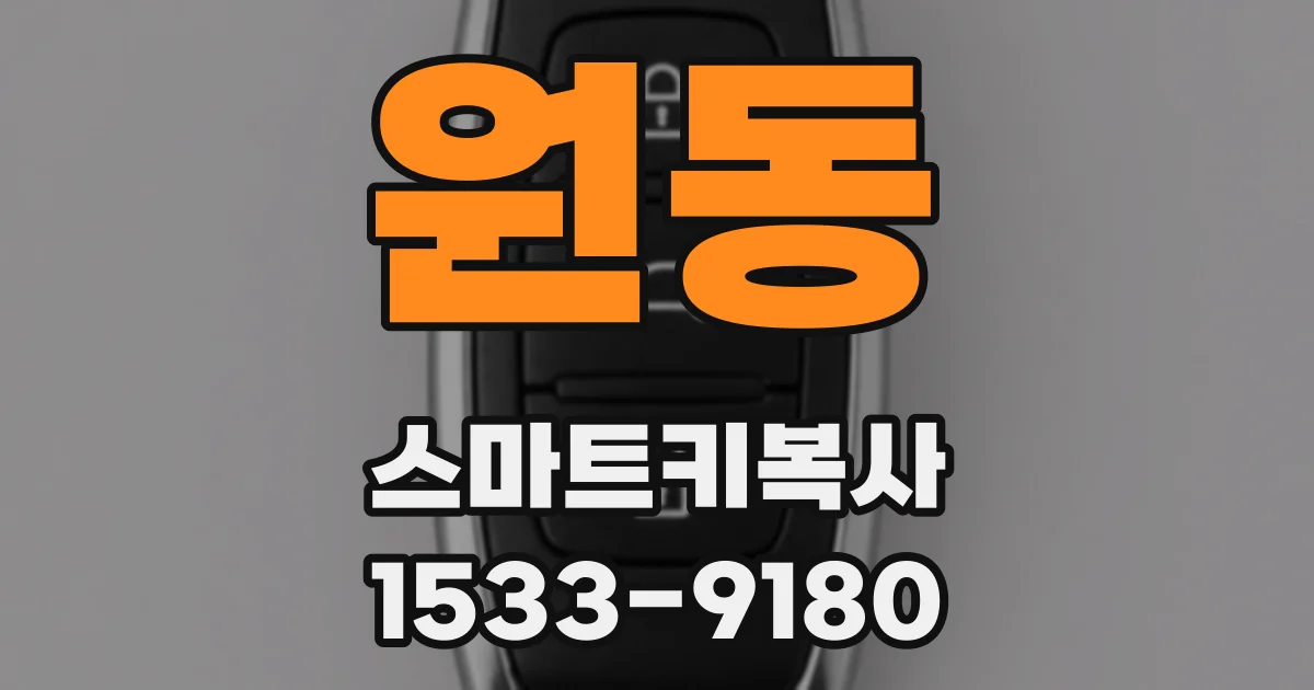 원동 스마트키복사