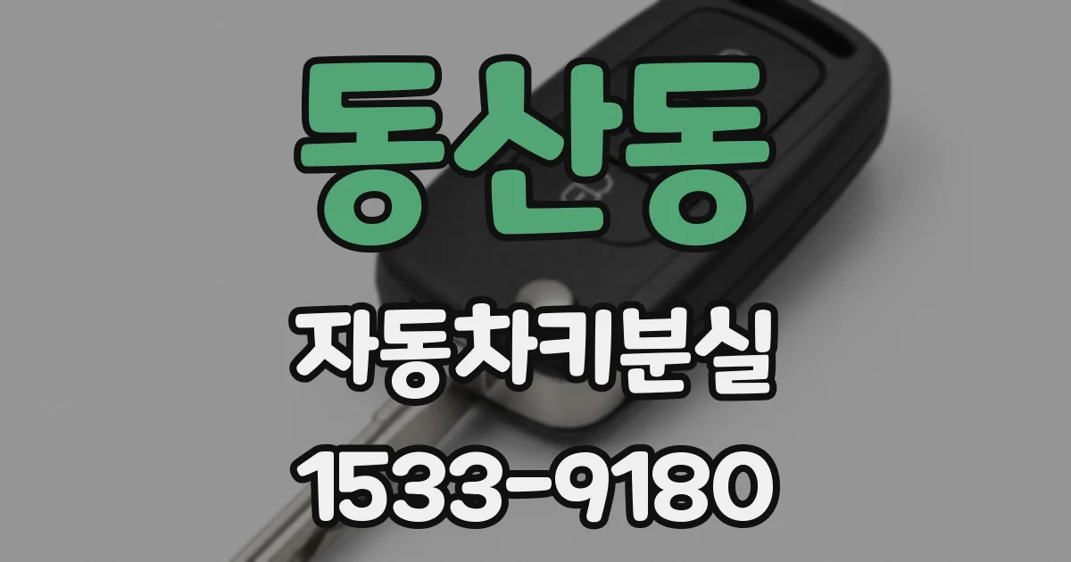 동산동 자동차키분실