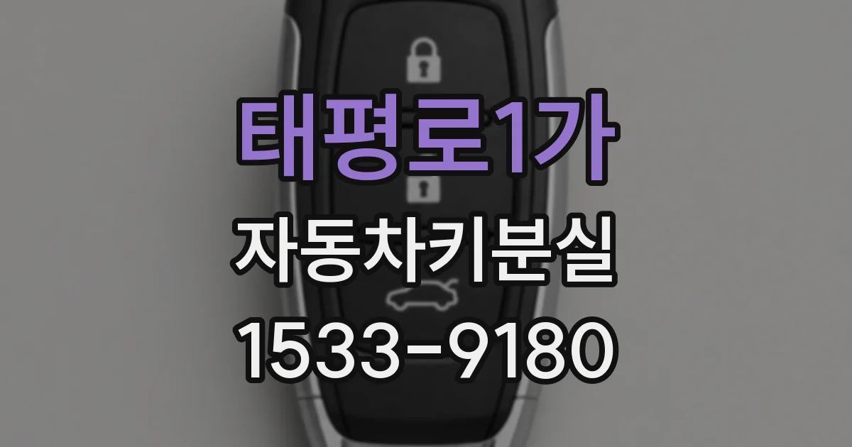 태평로1가 자동차키분실