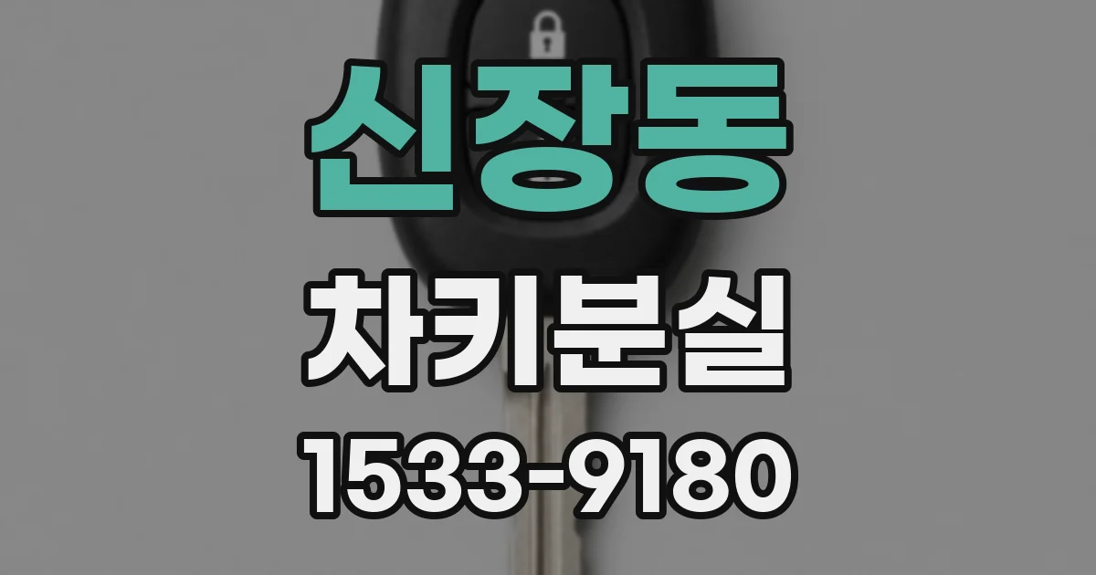 신장동 차키분실