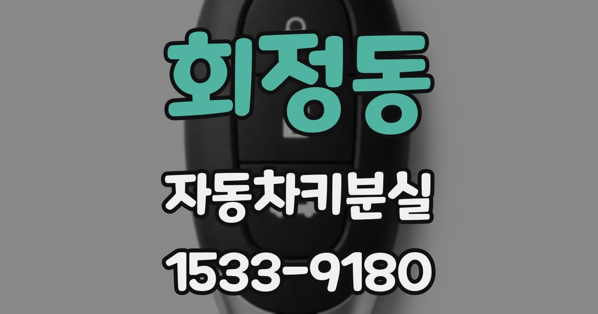회정동 자동차키분실