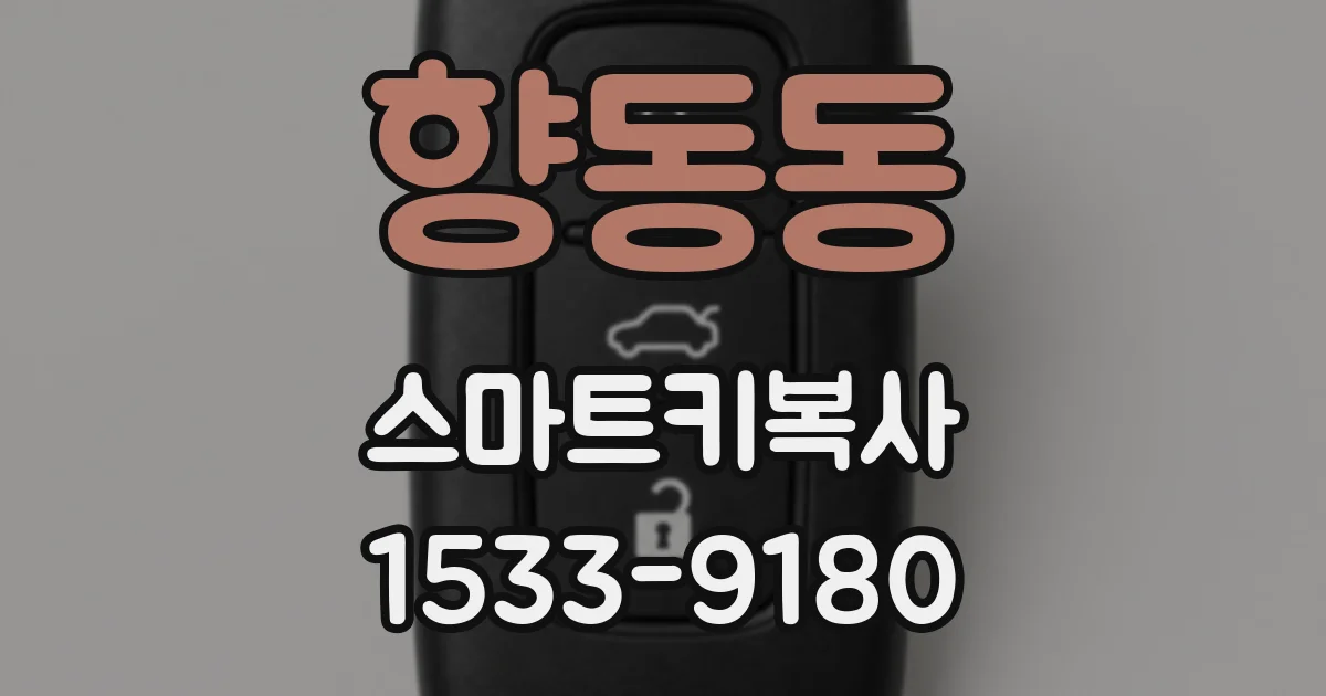 향동동 스마트키복사