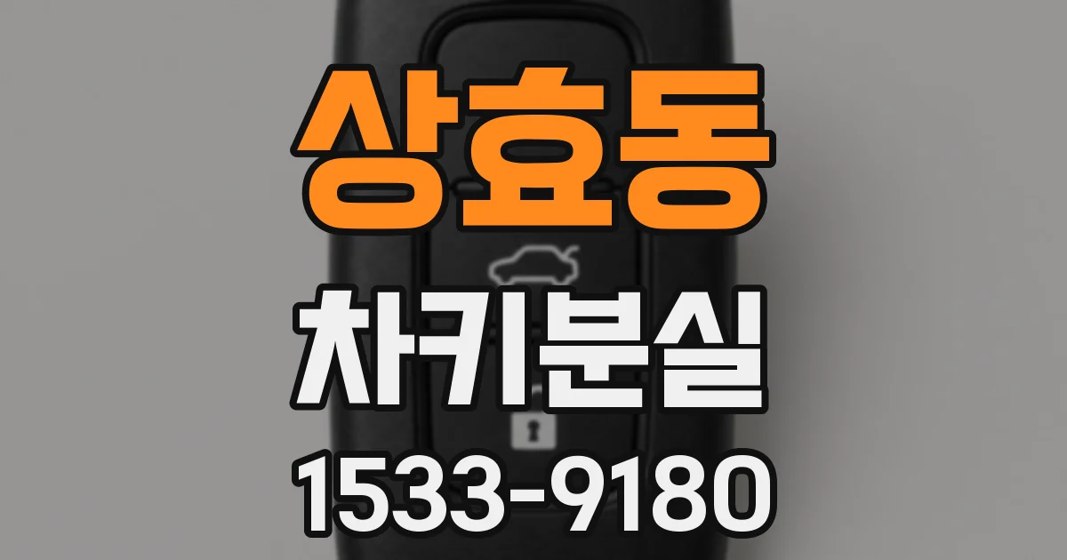 상효동 차키분실