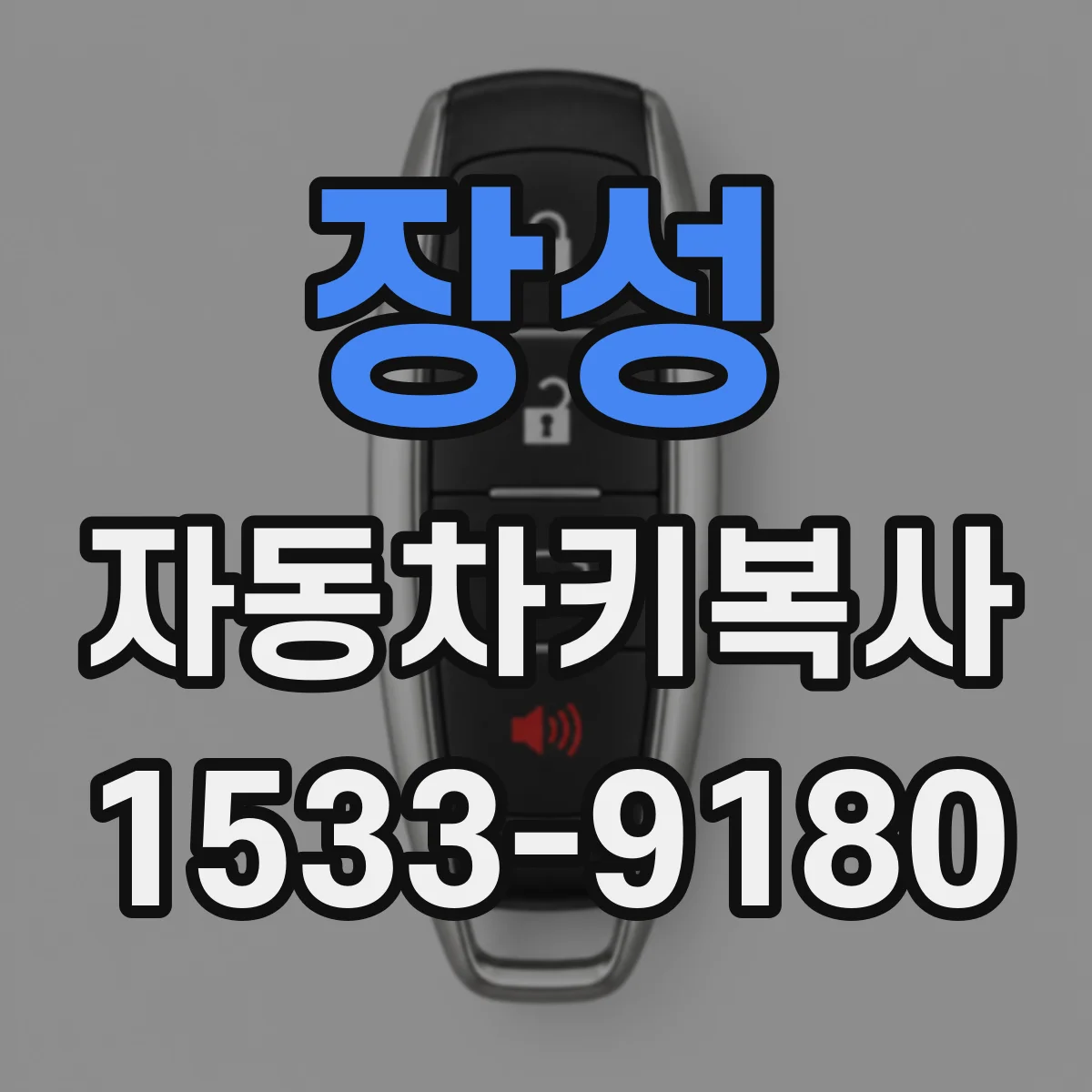 장성 자동차키복사