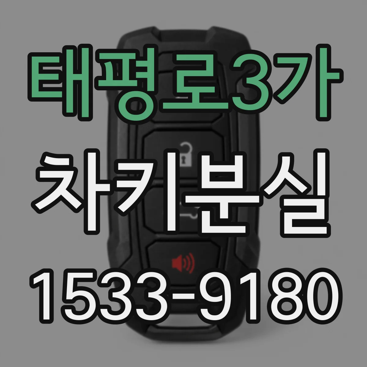 태평로3가 차키분실