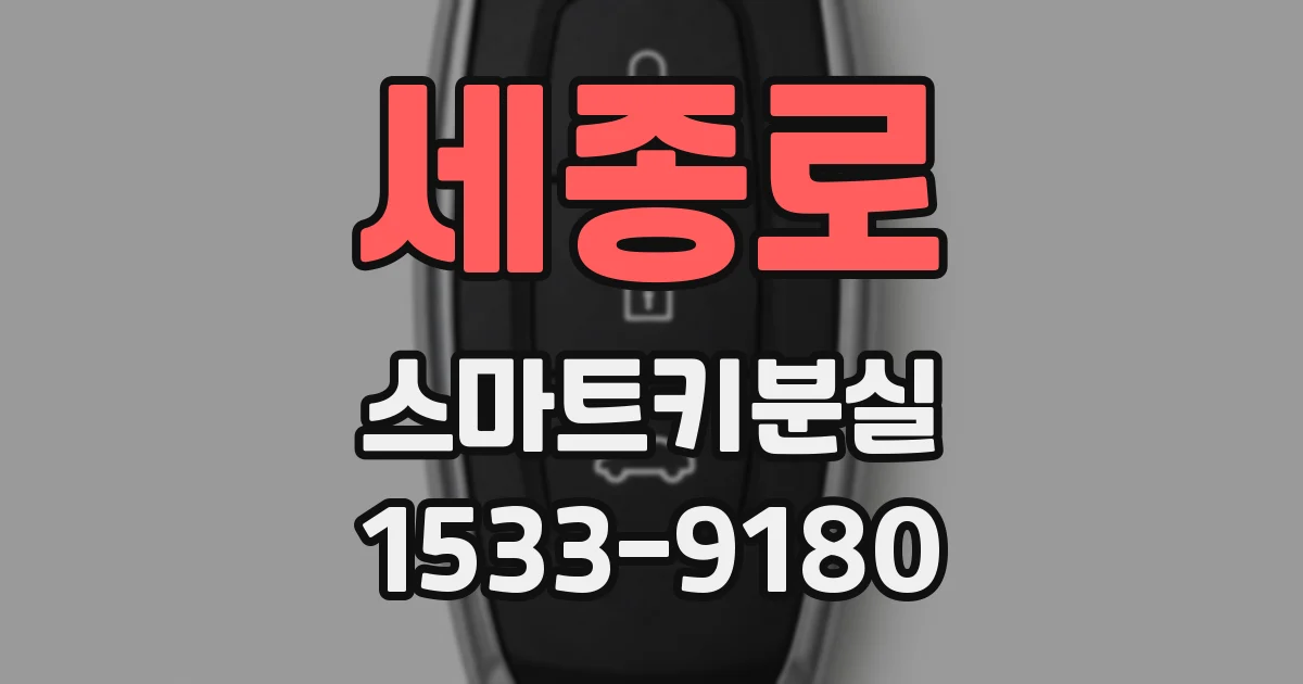세종로 스마트키분실
