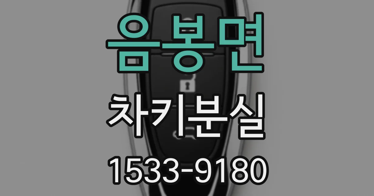 음봉면 차키분실