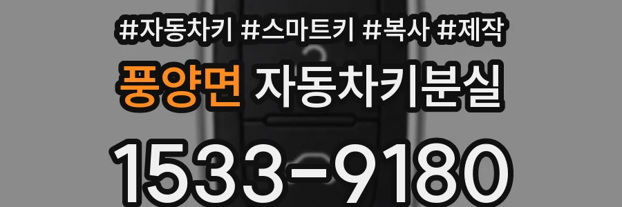 풍양면 자동차키분실