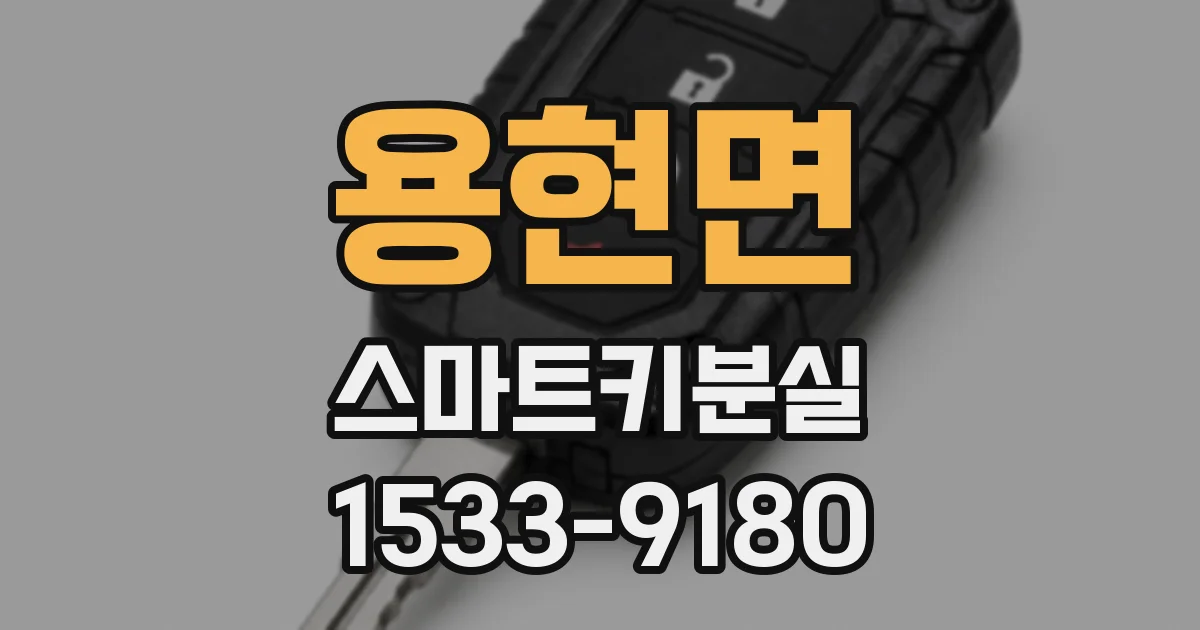 용현면 스마트키분실