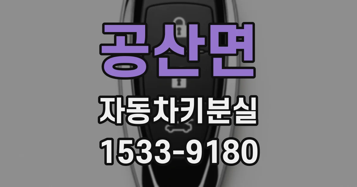공산면 자동차키분실