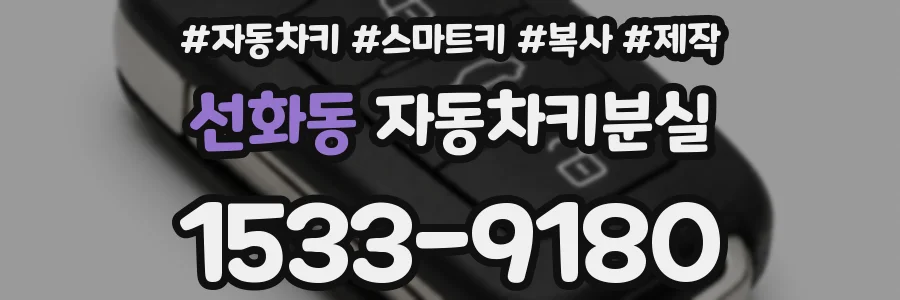 선화동 자동차키분실