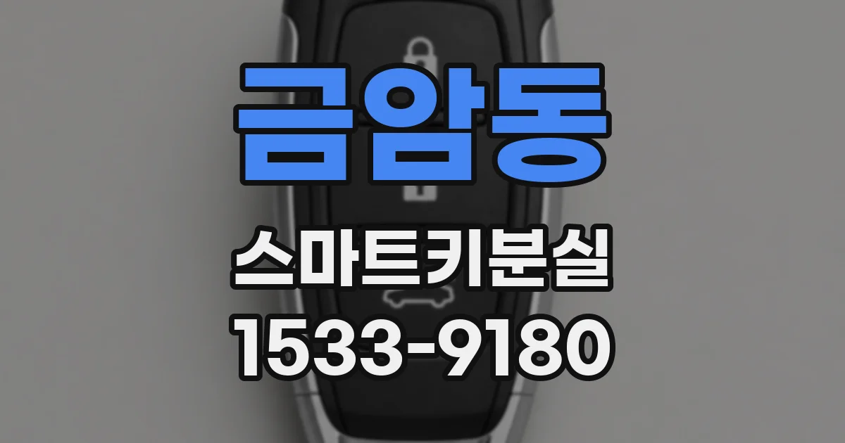 금암동 스마트키분실