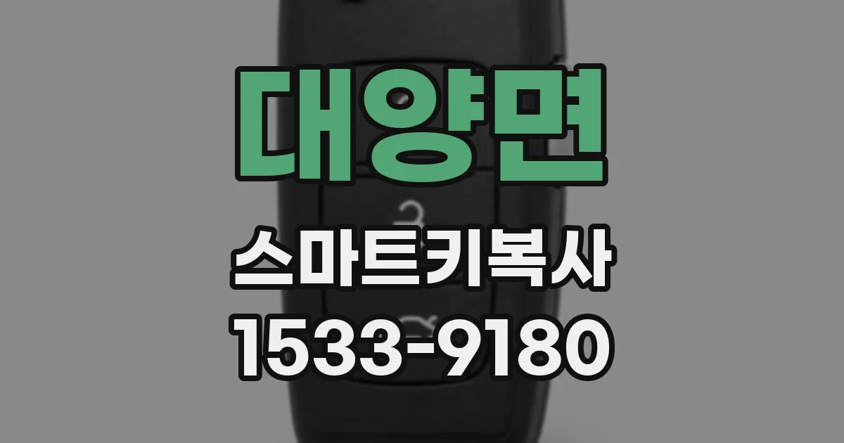 대양면 스마트키복사