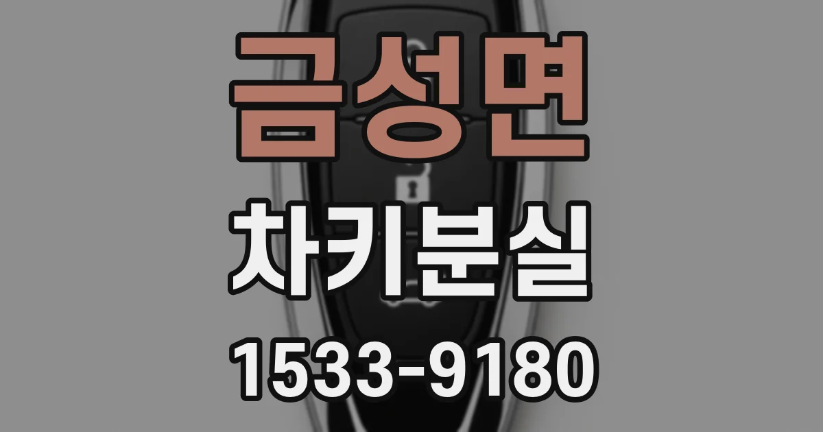 금성면 차키분실