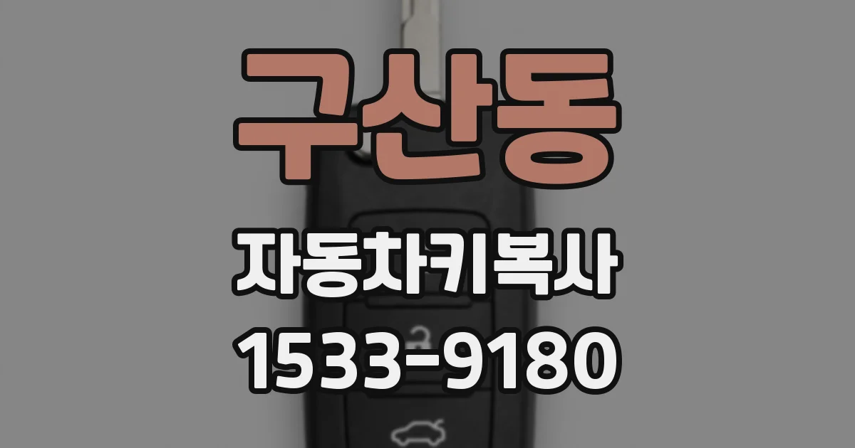 구산동 자동차키복사