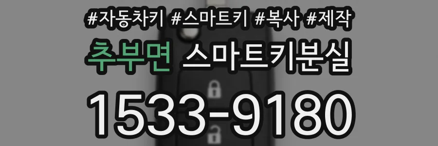 추부면 스마트키분실