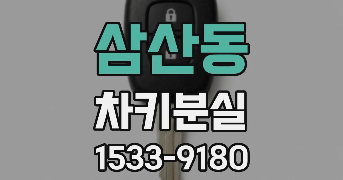 삼산동 차키분실