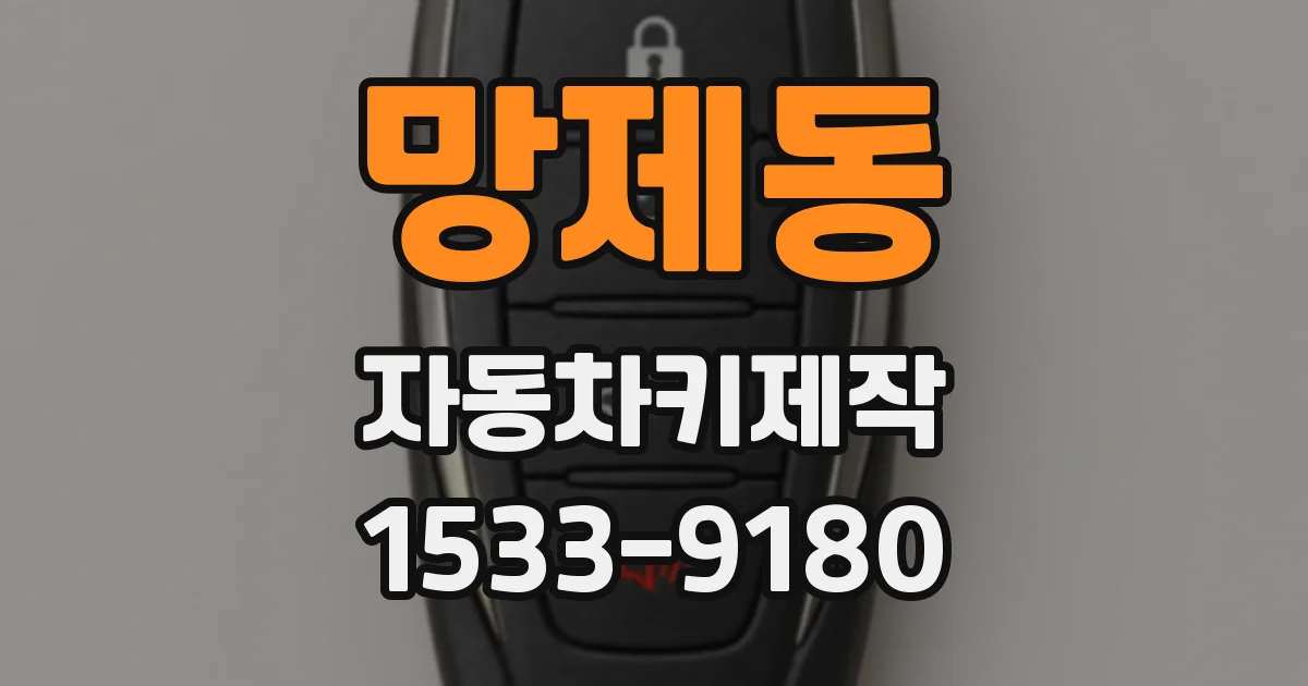 망제동 자동차키제작