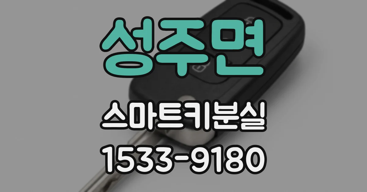 성주면 스마트키분실