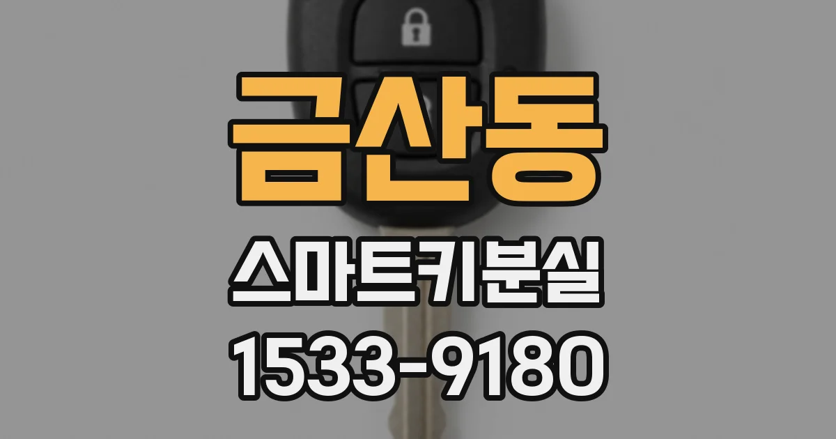 금산동 스마트키분실