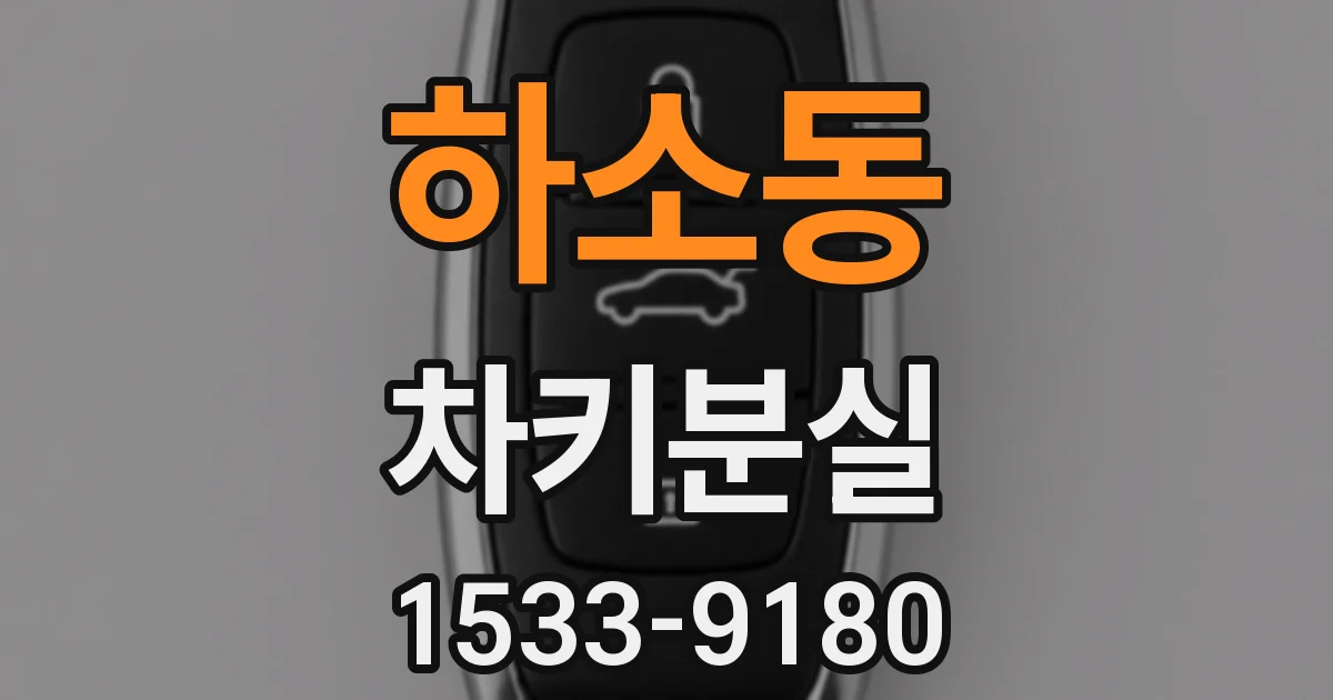 하소동 차키분실