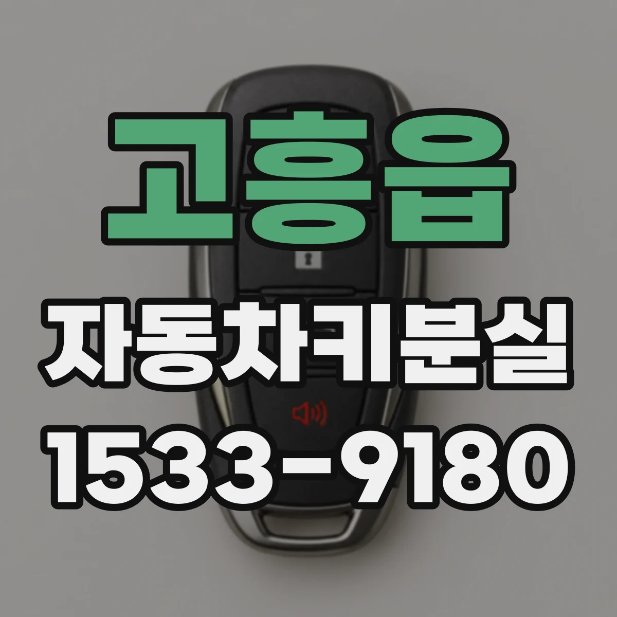 고흥읍 자동차키분실