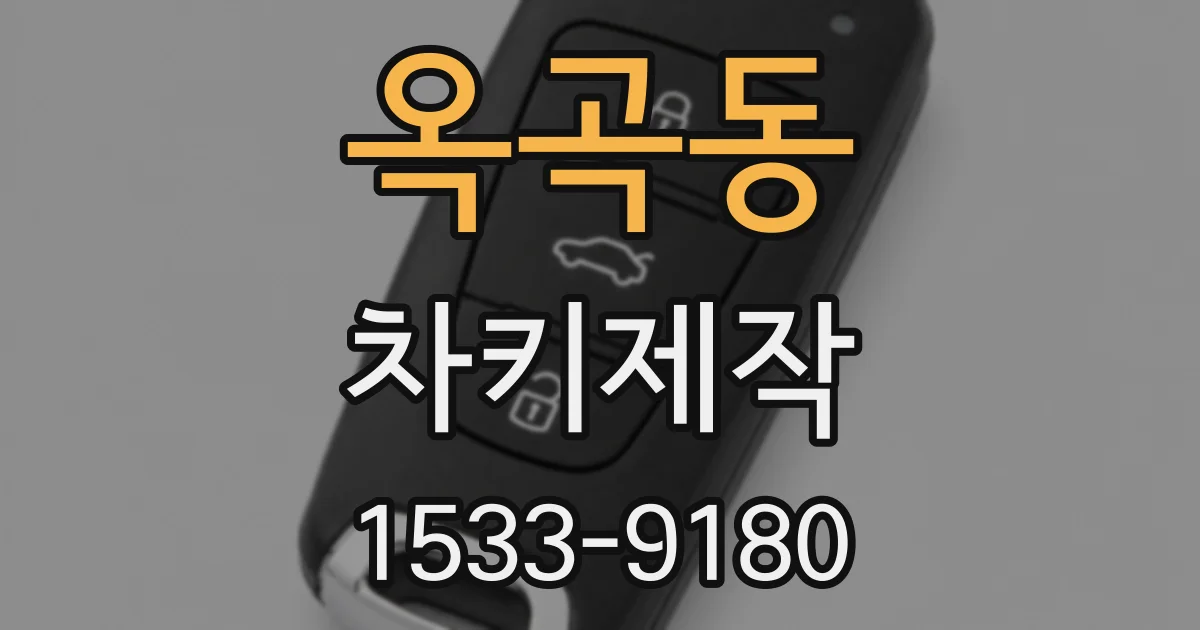 옥곡동 차키제작