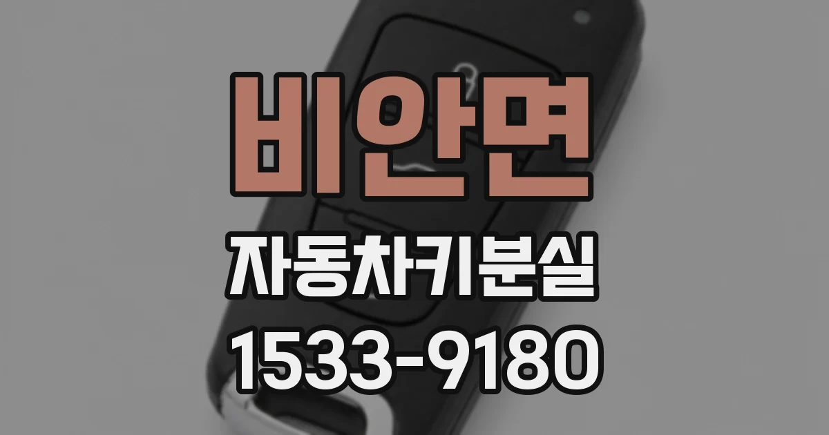 비안면 자동차키분실