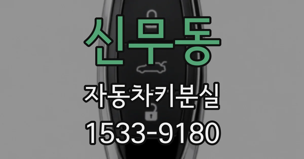 신무동 자동차키분실