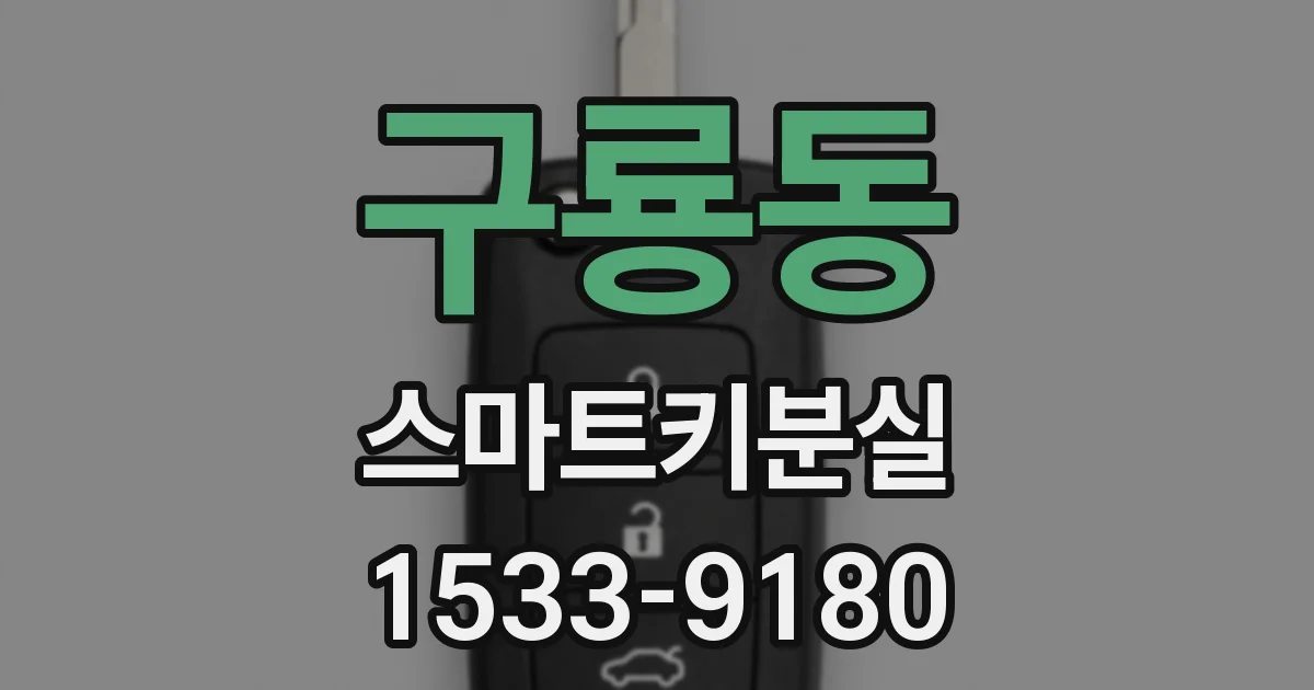 구룡동 스마트키분실