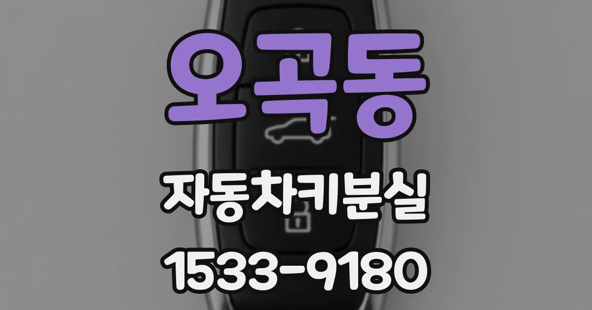오곡동 자동차키분실