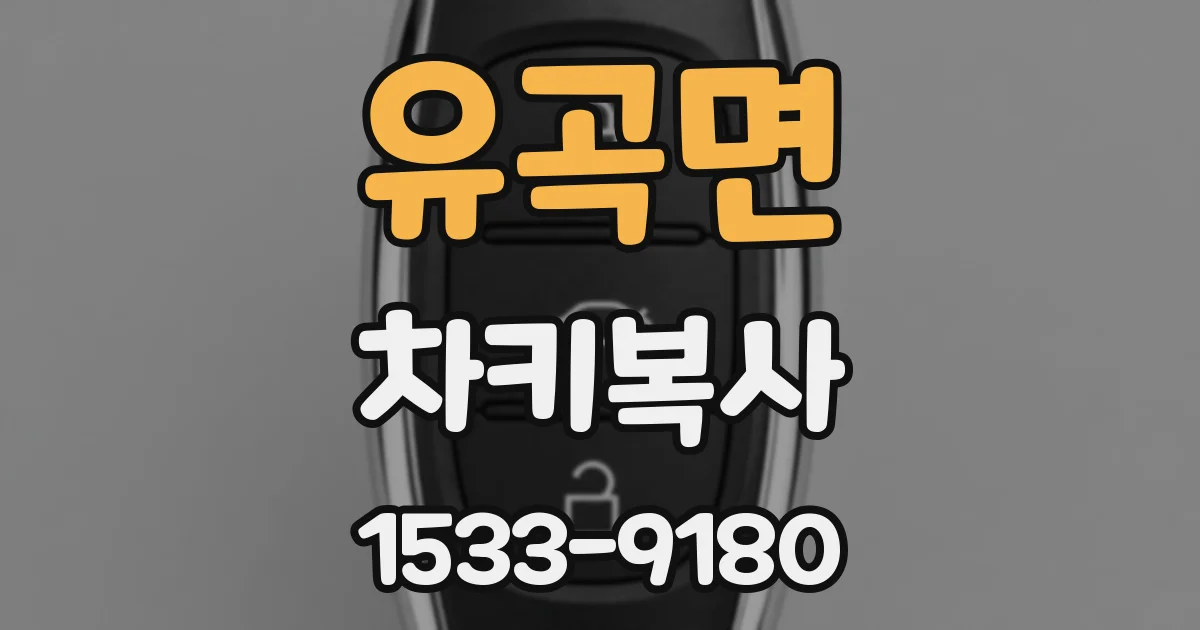 유곡면 차키복사