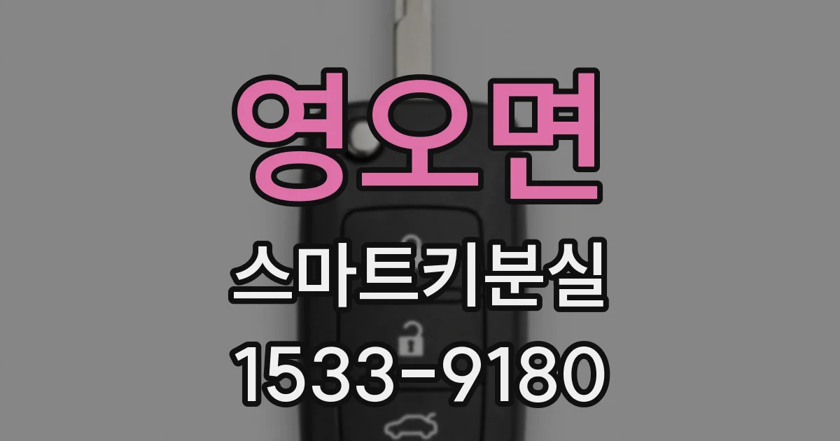 영오면 스마트키분실