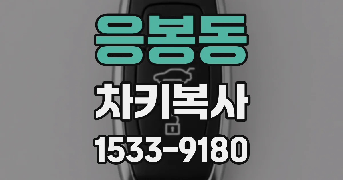 응봉동 차키복사