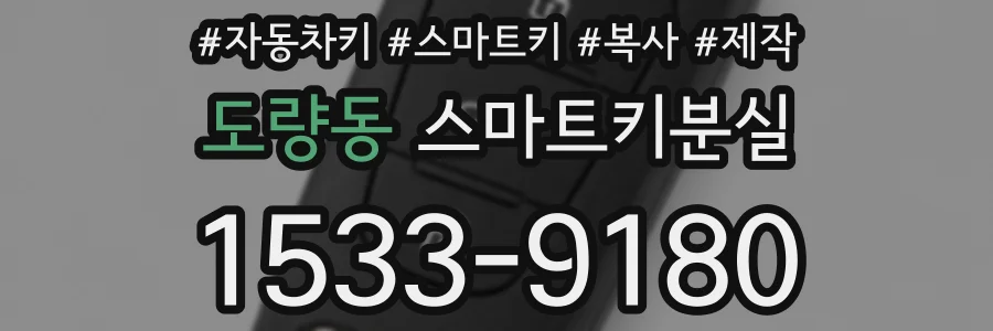 도량동 스마트키분실