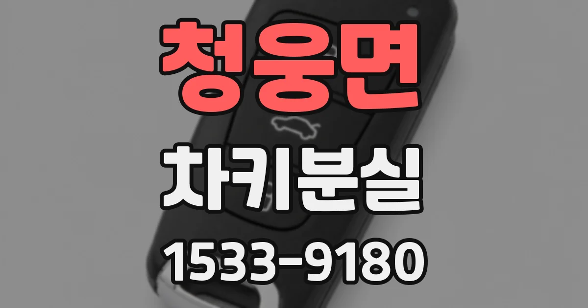 청웅면 차키분실