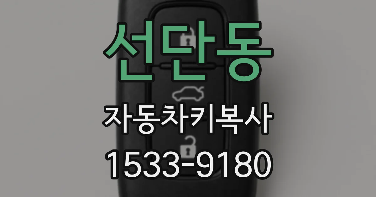 선단동 자동차키복사