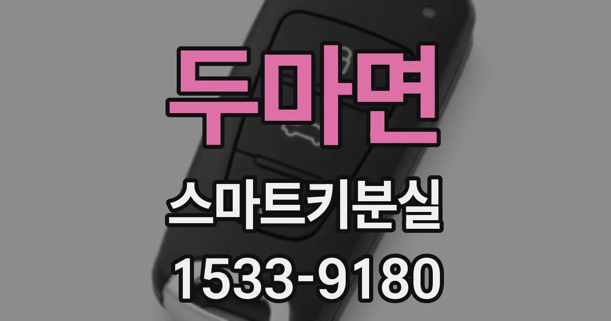 두마면 스마트키분실